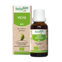Bourgeon de Vigne - 30 ml