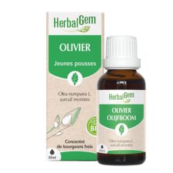Bourgeon d'Olivier - 30 ml