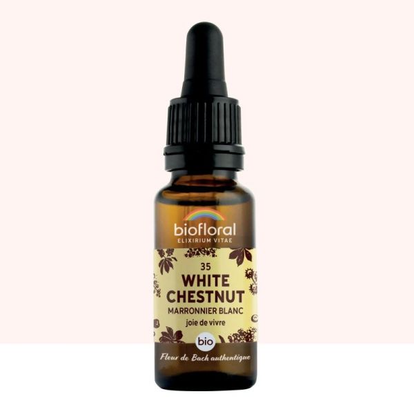 Fleur de Bach n°35 White Chesnut, Marronnier Blanc - 20 ml