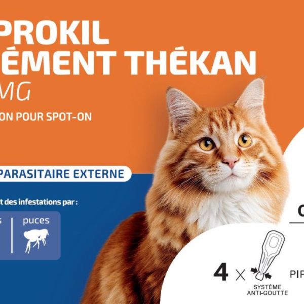 Fiprokil Chat Pipet 0,5Ml 4