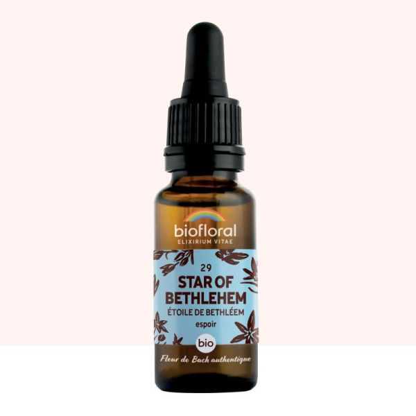 Fleur de Bach n°29 Star of Bethlehem, Étoile de Bethléem - 20 ml