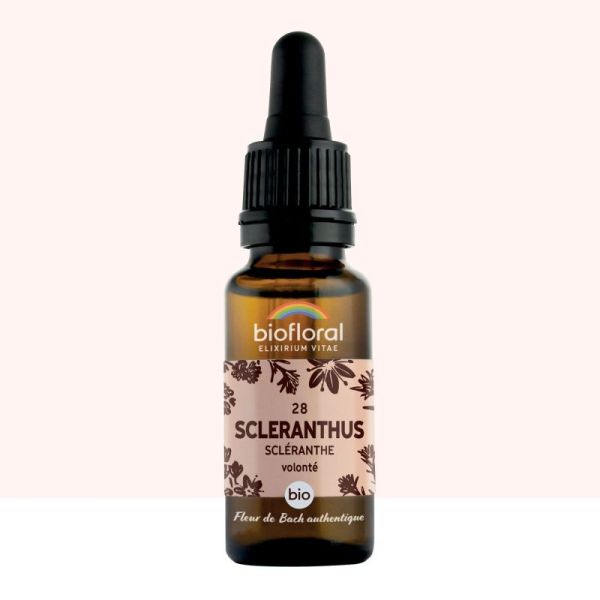 Fleur de Bach n°28 Scleranthus, Scléranthe - 20 ml