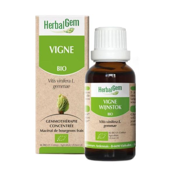 Bourgeon de Vigne - 30 ml