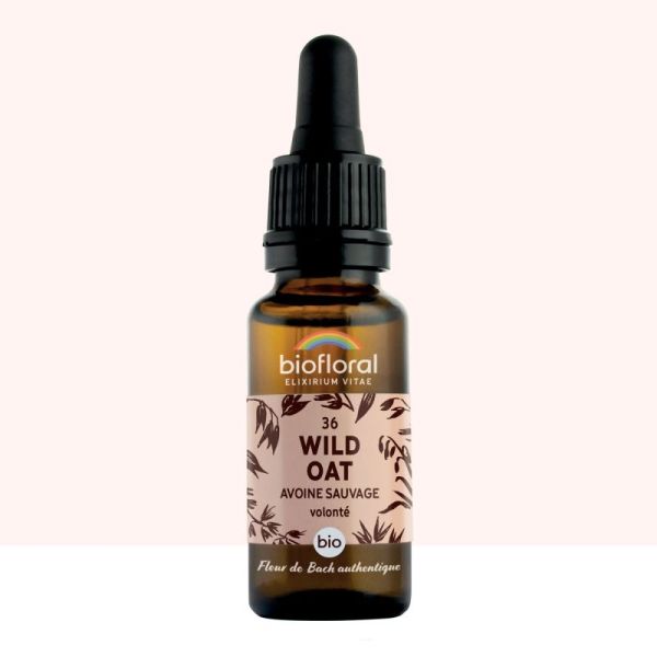 Fleur de Bach n°36 Wild Oat, Avoine Sauvage - 20 ml